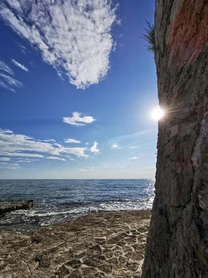 Mirta Deluxe Superior 5 Star Apartment, Your Piece Of Heaven By The Sea & Park, With Sea & Park View Novigrad Istria Esterno foto