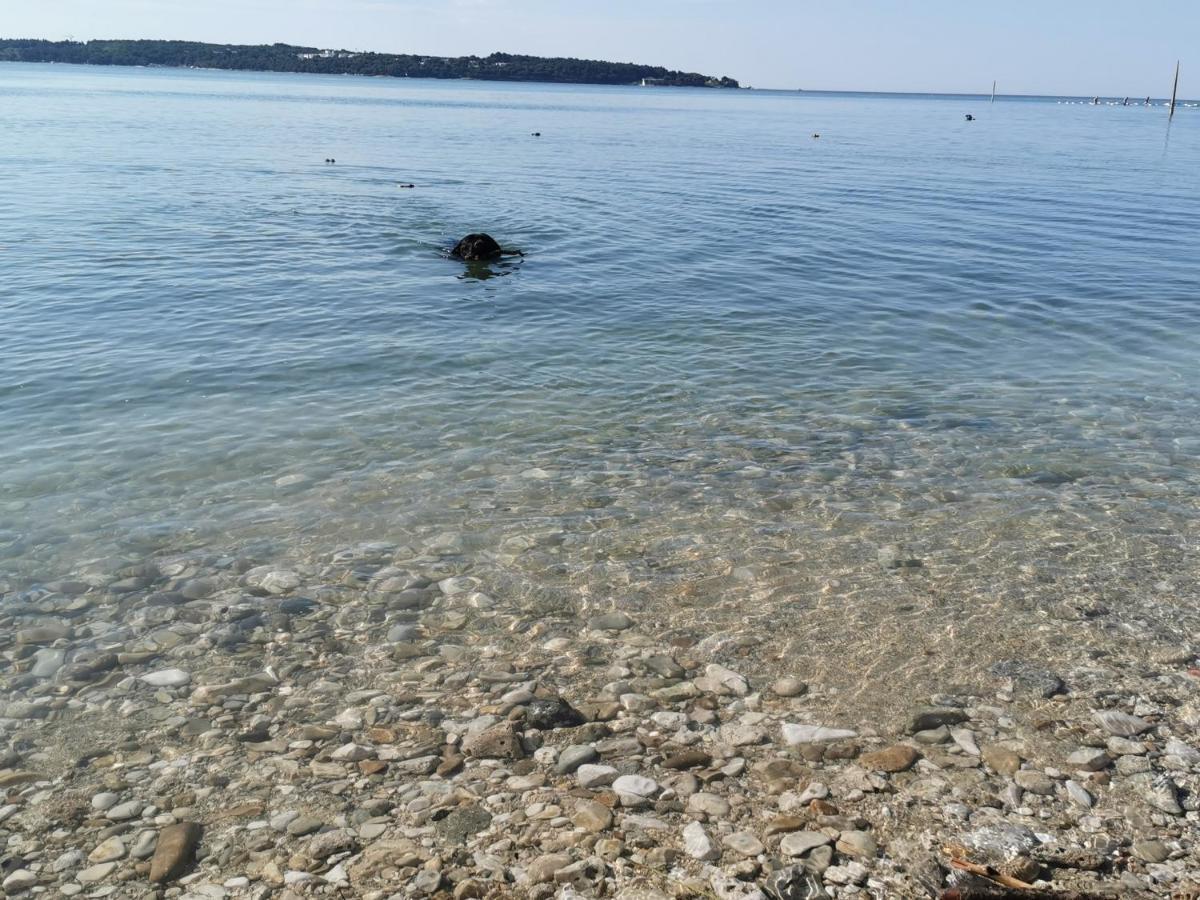 Mirta Deluxe Superior 5 Star Apartment, Your Piece Of Heaven By The Sea & Park, With Sea & Park View Novigrad Istria Esterno foto