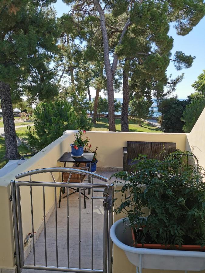 Mirta Deluxe Superior 5 Star Apartment, Your Piece Of Heaven By The Sea & Park, With Sea & Park View Novigrad Istria Esterno foto
